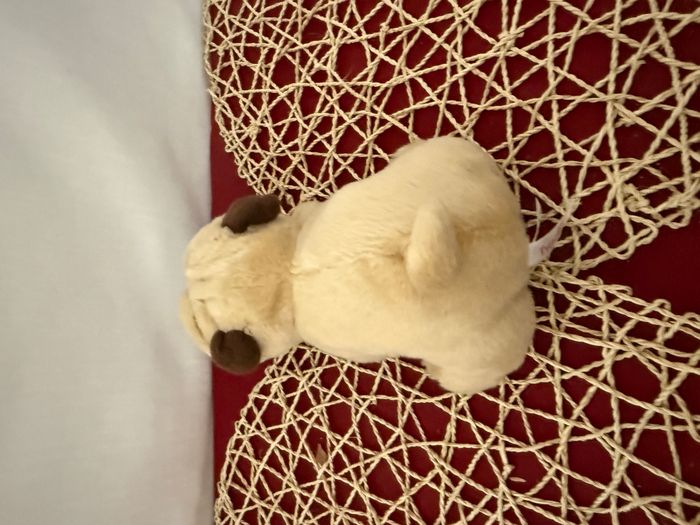 Keel Toys Peluche Chien PUGSLEY - photo numéro 4