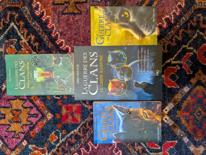 Lot de 3 livres la Guerre des Clans + Le guide illustré