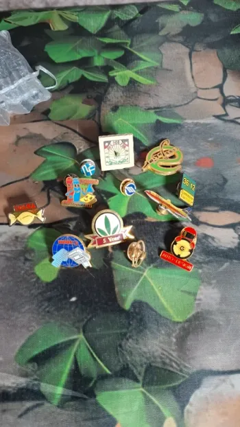 Lot pin’s vintage