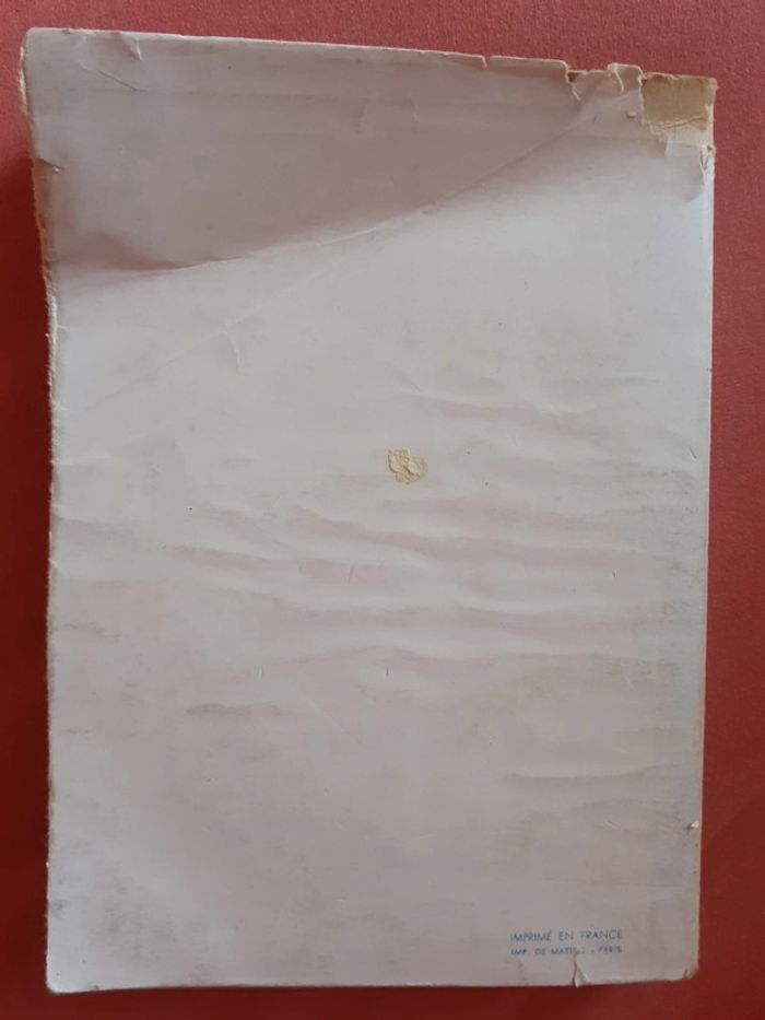 Le faucon rouge - Marcelle Vérité - photo numéro 2