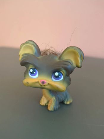 littlest petshop chien