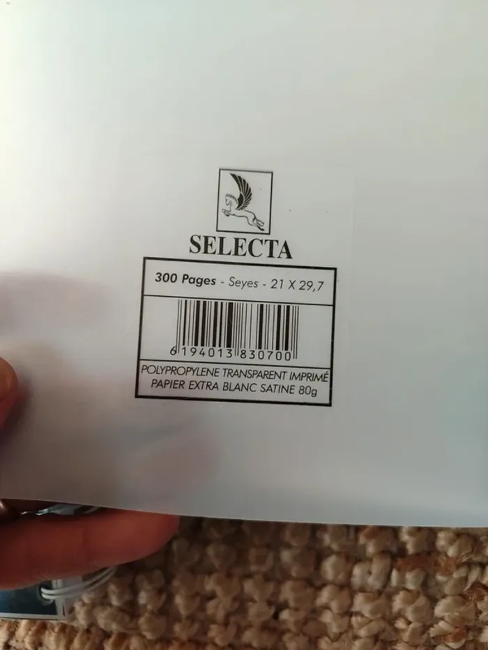 Cahier format A4 300 pages - photo numéro 2
