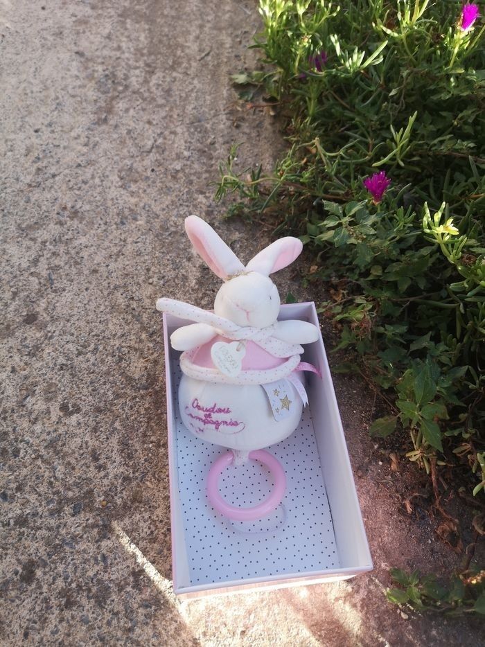 Doudou et compagnie musical - photo numéro 5