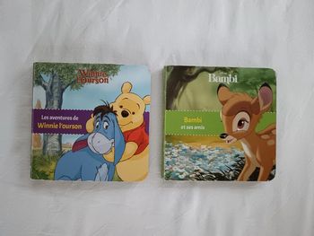 Lot 2 mini livres Disney