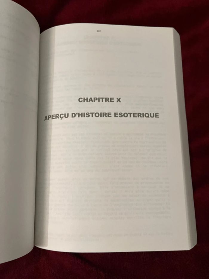 Introuvable sur Vinted et épuisé en librairie ! Livre ésotérique - photo numéro 9