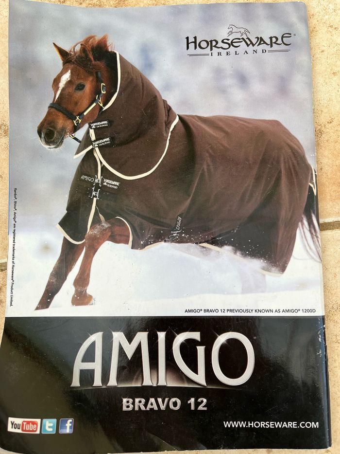 Livre, cheval pratique - photo numéro 4