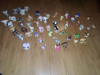 Très gros lot de pet shop