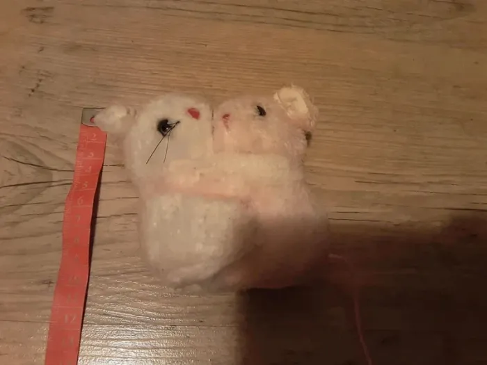 Couple de souris - photo numéro 6