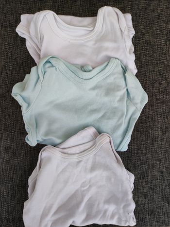 Lot de 3 body manches courtes mixte