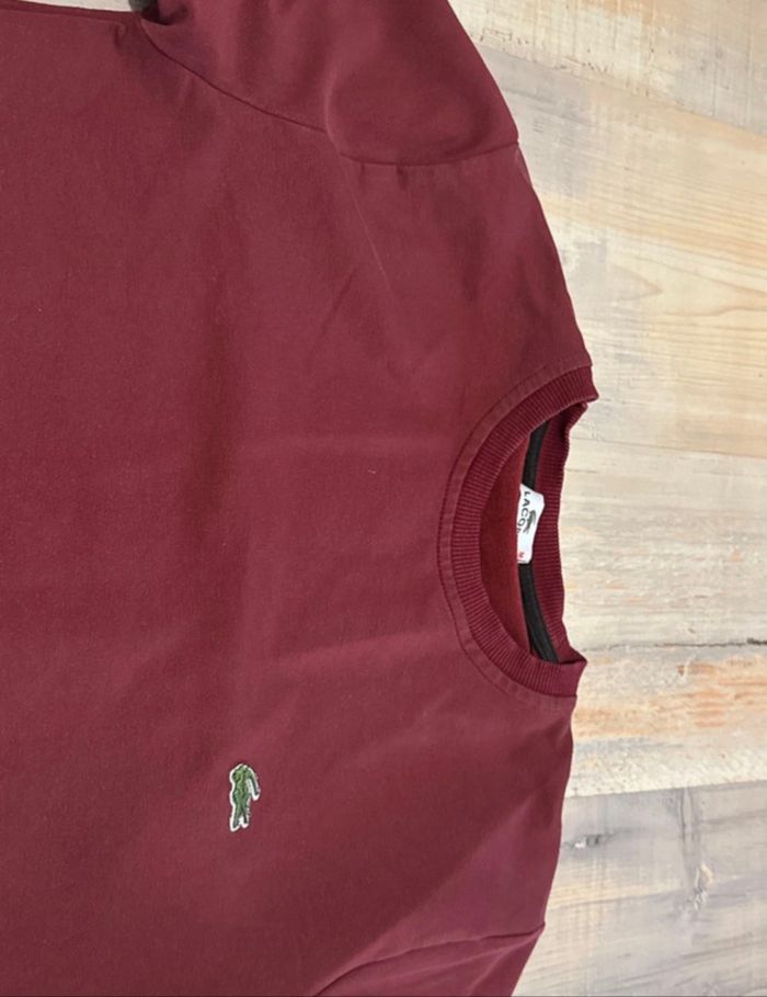 Pull garçon - photo numéro 2