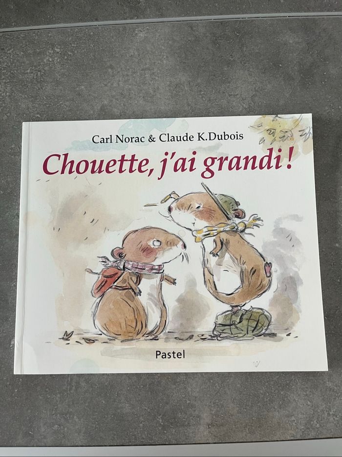Lot de livres enfants - photo numéro 6