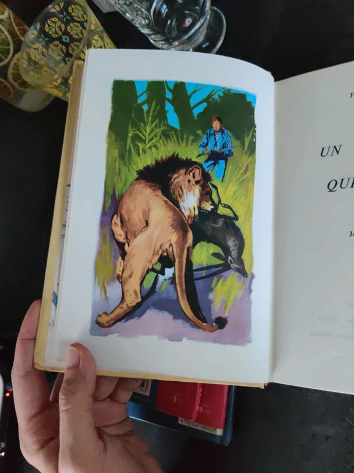 Un capitaine de 15 ans, Jules Verne - photo numéro 4