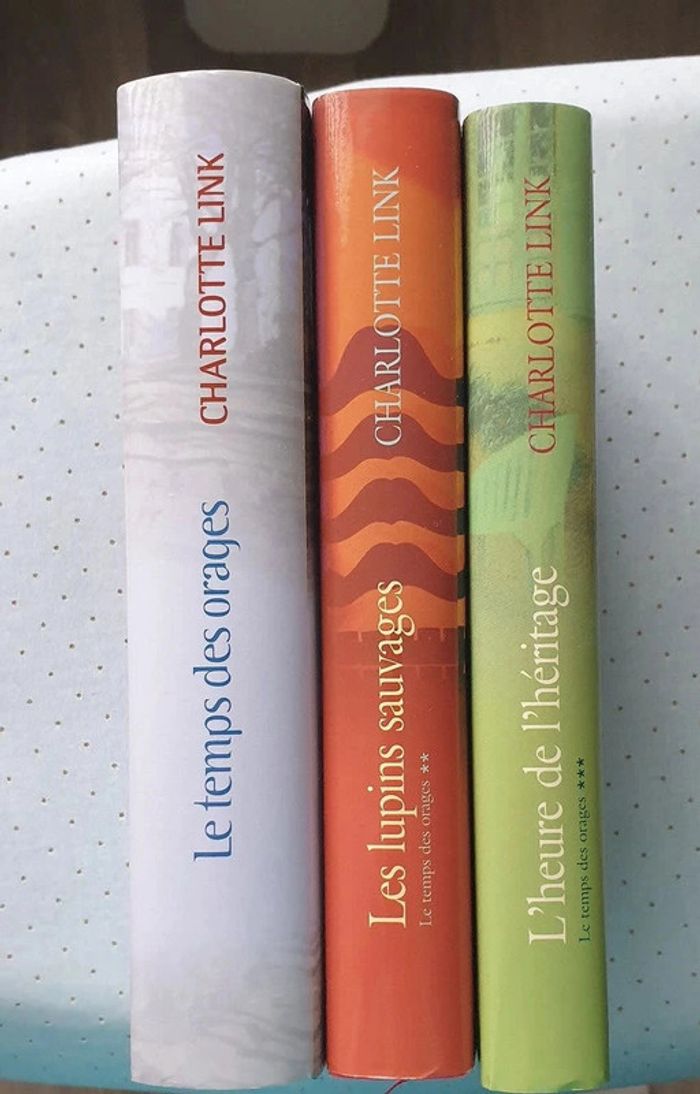 📚 Saga "Le temps des orages" - photo numéro 3