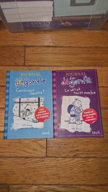 Lot de 2 livres journal d'un degonflé  tome 5 et 6