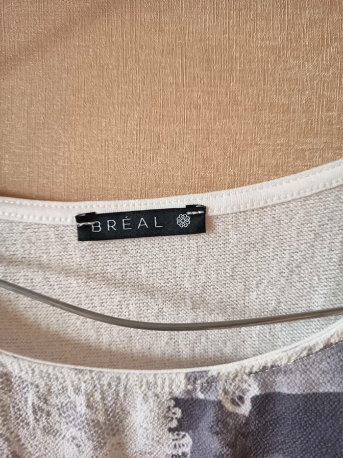 Tunique Marque Bréal (D27) - photo numéro 3