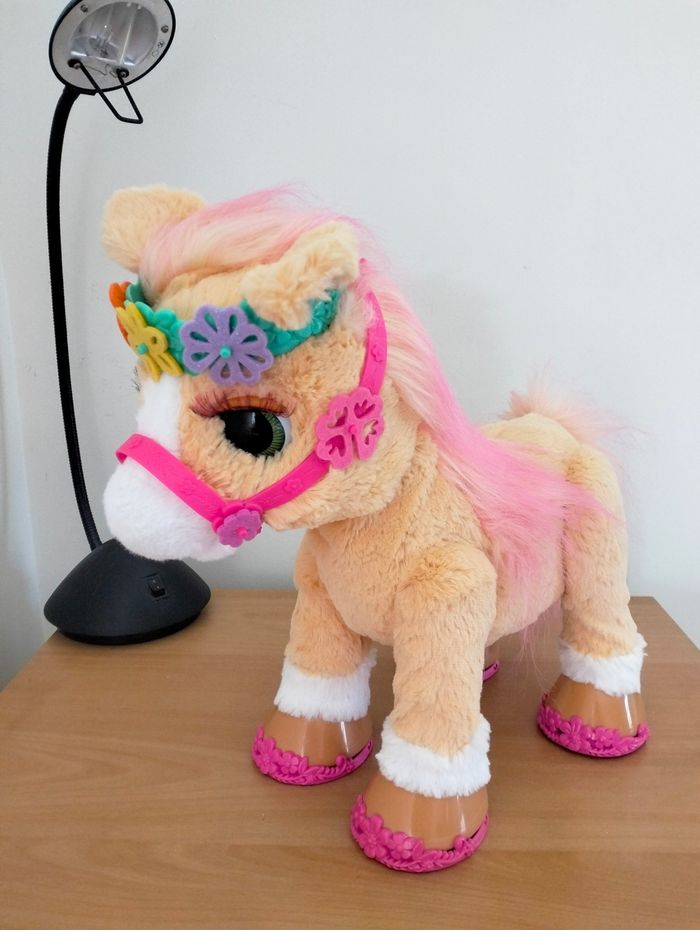 Cannelle mon poney coquette - photo numéro 3