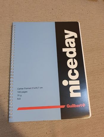 Grand cahier à spirale bleu niceday 100 pages 21 x 29,7 cm Guilbert