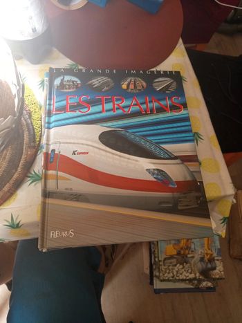 Bd la grande imagerie les trains
