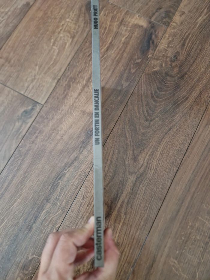 Bande dessinée Un fortin en Dancalie - photo numéro 2