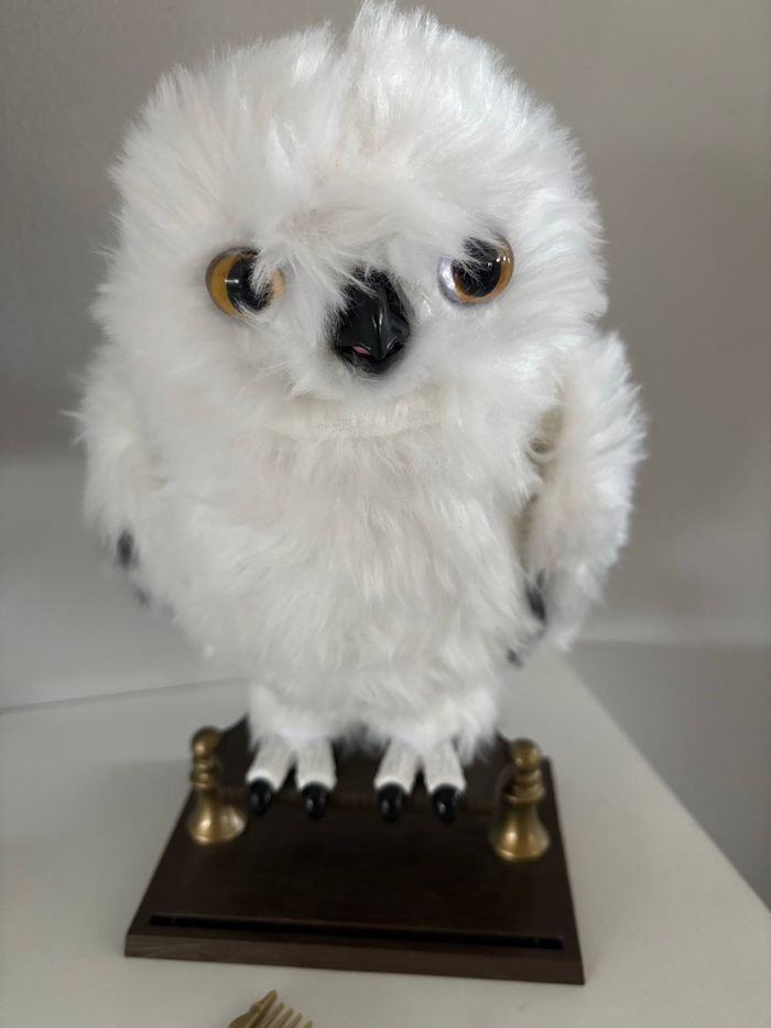 Hedwige - photo numéro 2