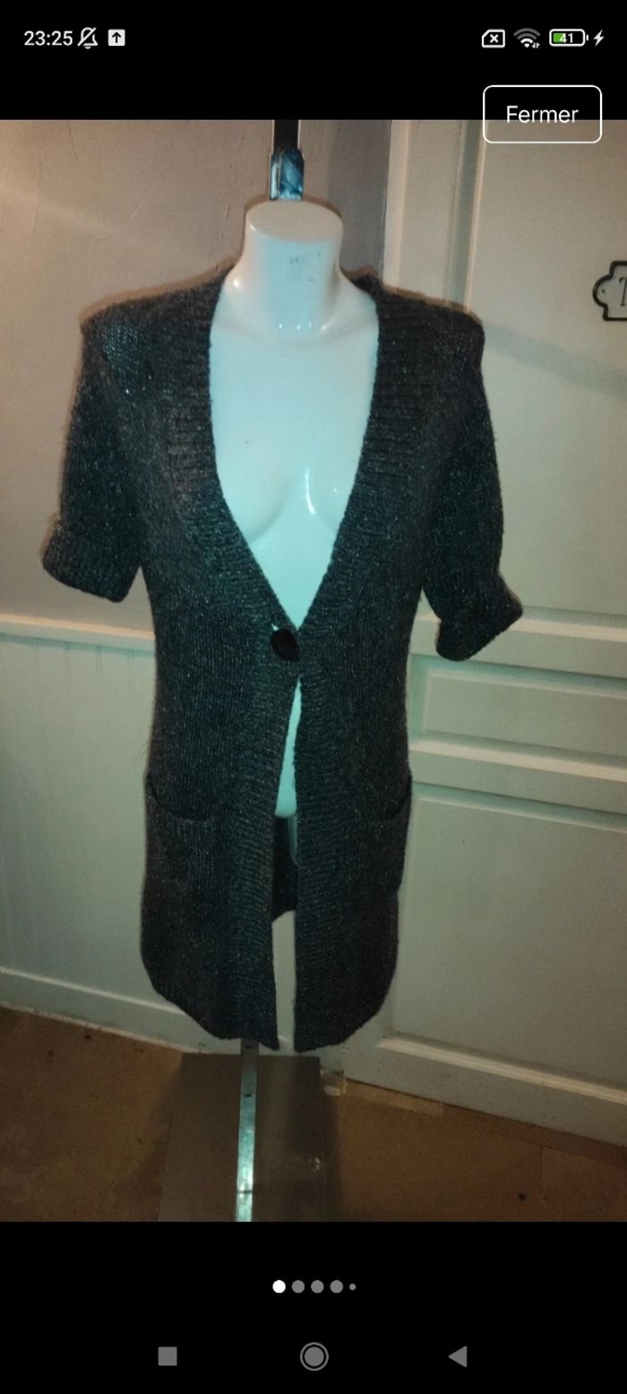 Très beau gilet femme f24