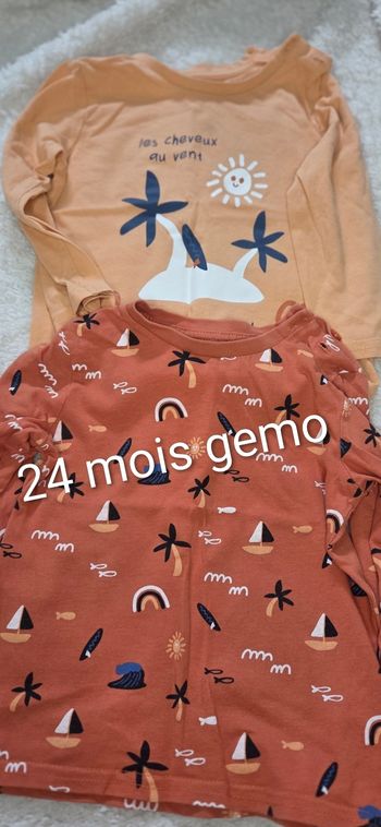 Lot 2 tee-shirts manches longues 24 mois gemo
