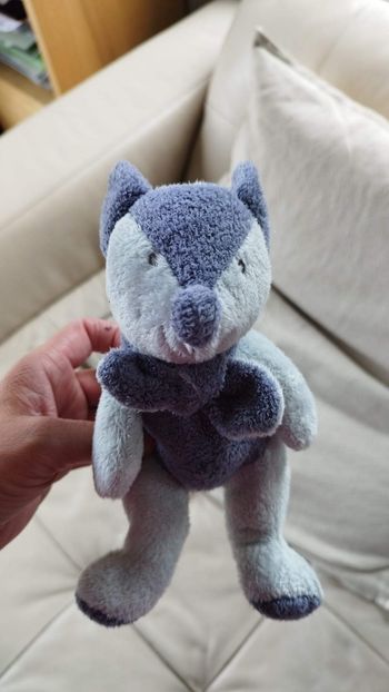 Peluche / doudou