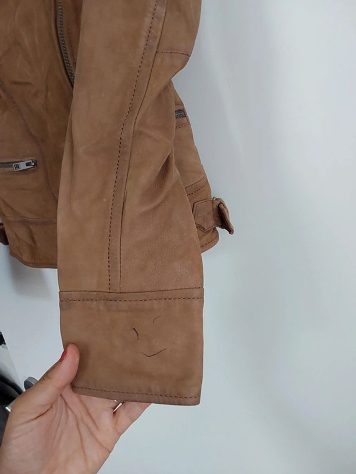 Perfecto Oakwood - photo numéro 4
