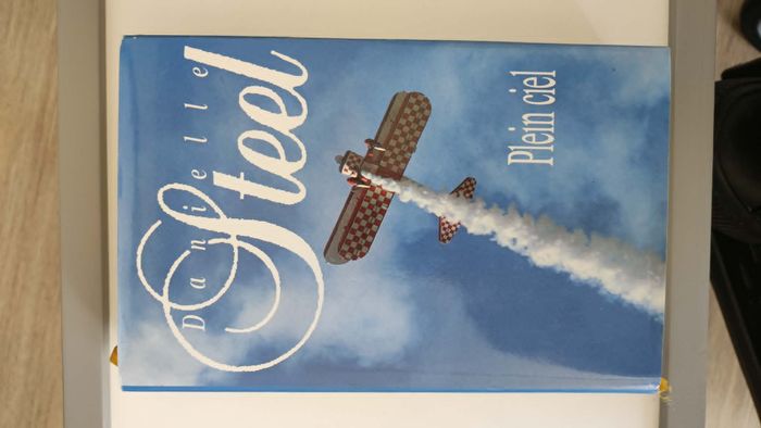 Plein ciel - Danielle Steel - photo numéro 1