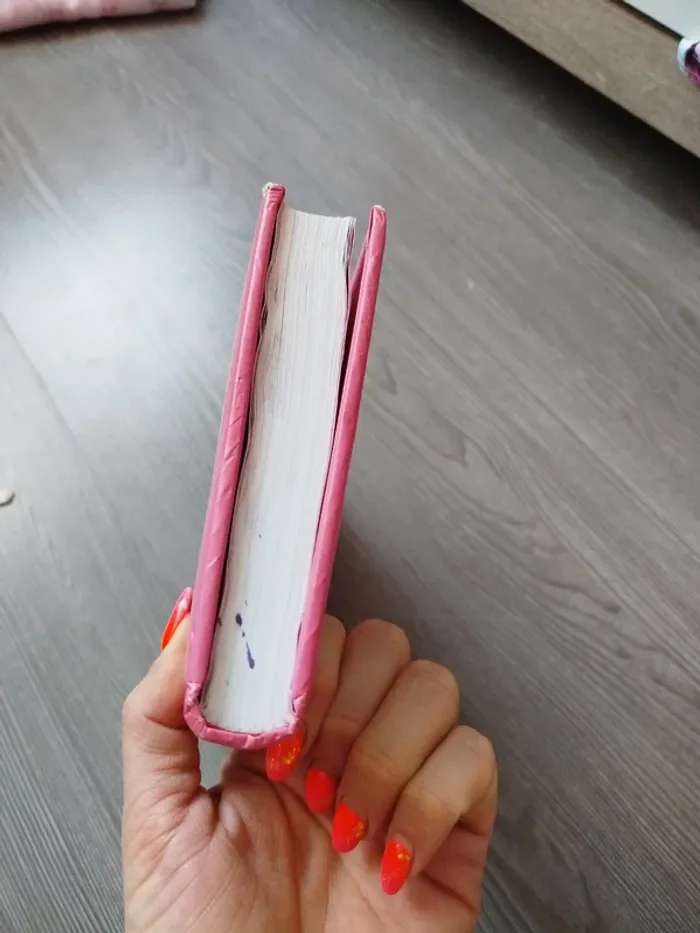 Livre mes fraisi-copine - photo numéro 3
