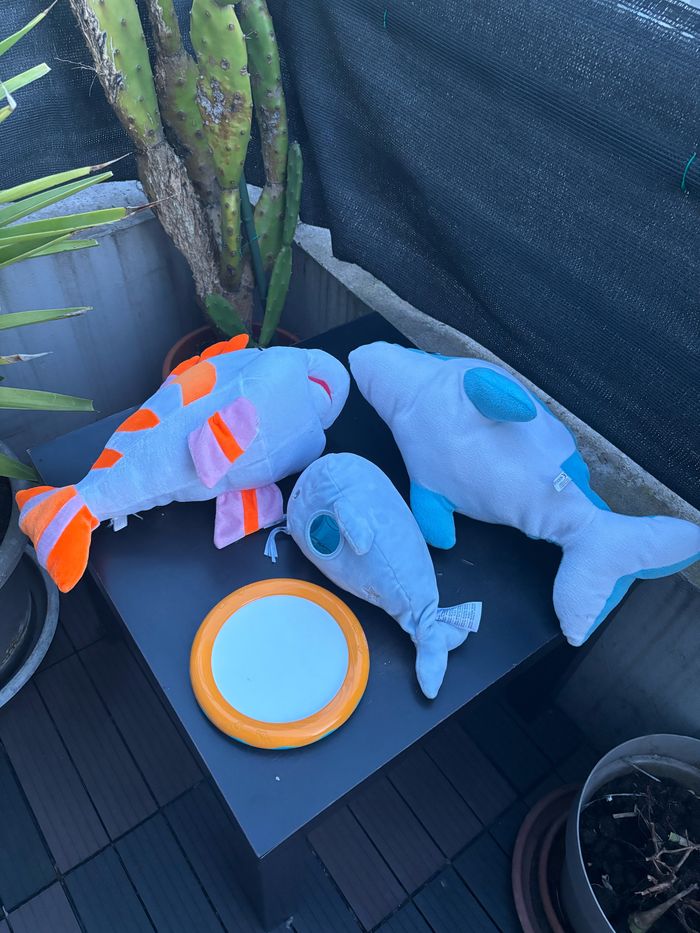 Pack marin - photo numéro 3