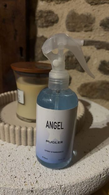 Spray d’intérieur