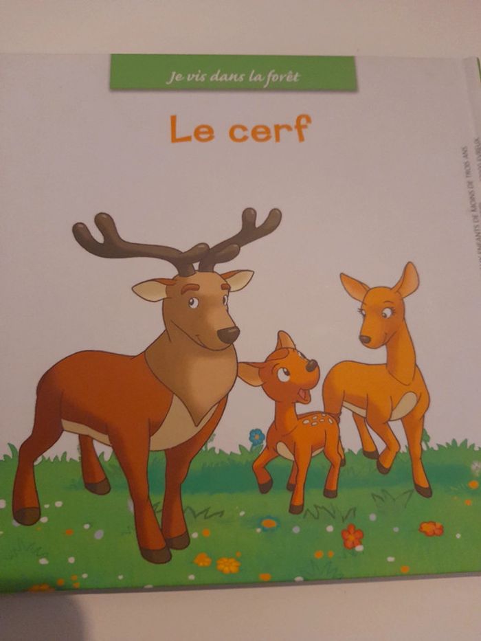 Le cerf - photo numéro 2