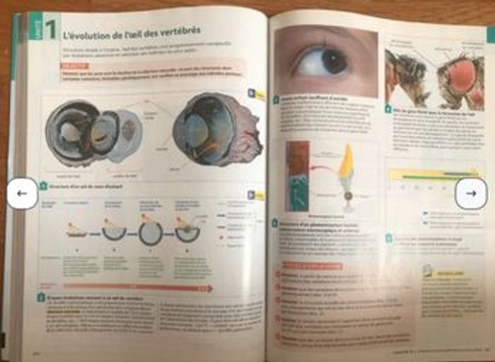Enseignement scientifique Terminale - livre de l’élève - édition 2020 - photo numéro 4