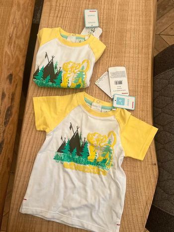 T-shirt Disney le roi lion s’il a orchestra Disney 9 mois neuf avec étiquette été