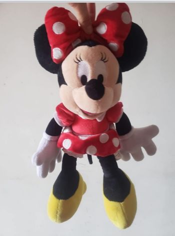 Nounous minnie