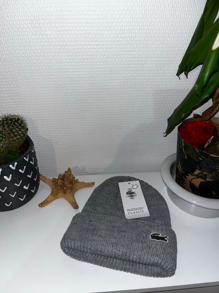 Bonnet - photo numéro 2