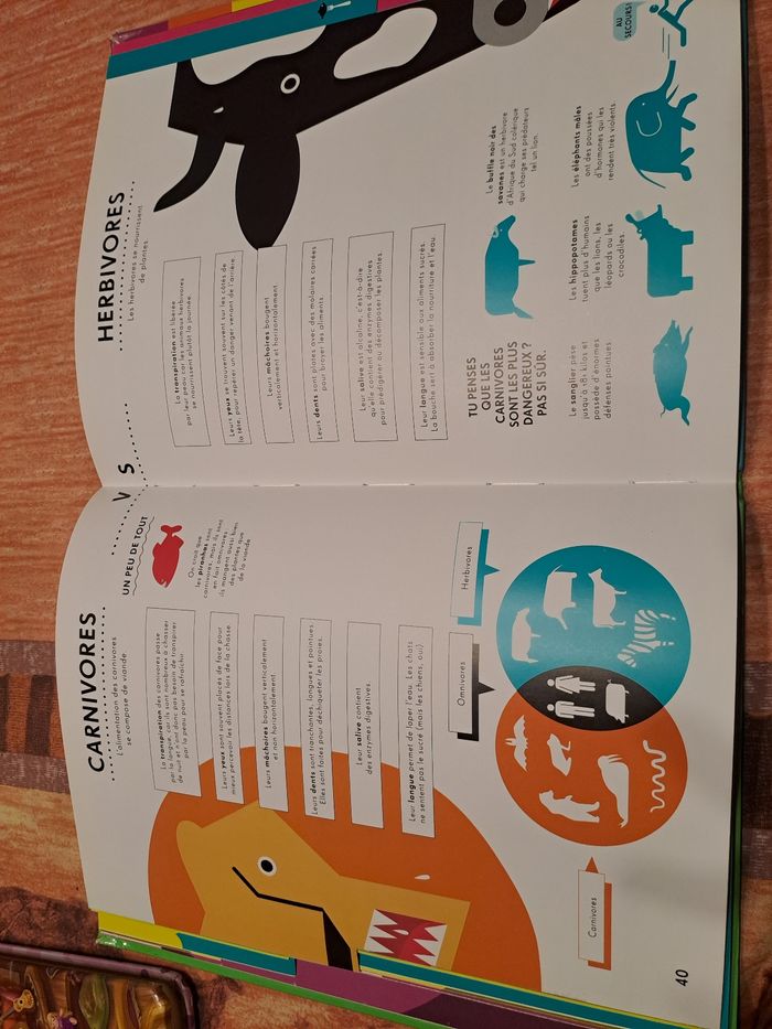 Le plein de choses - photo numéro 5