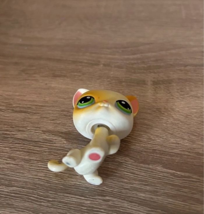 Petshop Chat - photo numéro 2