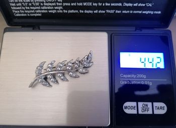 Broche ancienne argent bas titre plume ou branche pierre marcassites. 