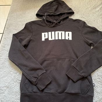 Pull puma