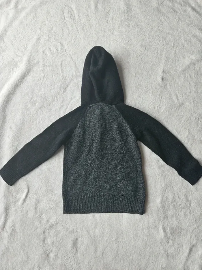 Pull à capuche 2/3 ans complices - photo numéro 4