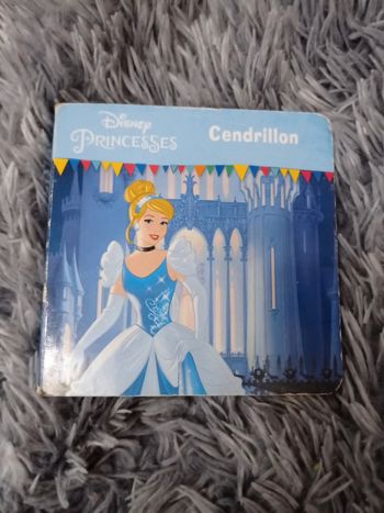 Petit livre princesse en carton 💖 Disney