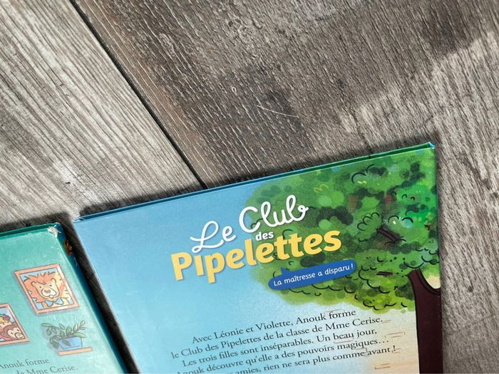 Lot 2 livres Le club des pipelettes - photo numéro 4