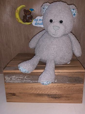 MPC31 doudou ours 🐻 mes petits cailloux