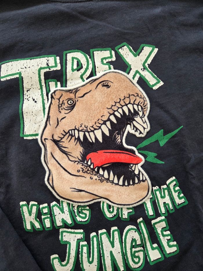 T-shirt ml dinosaure - photo numéro 2