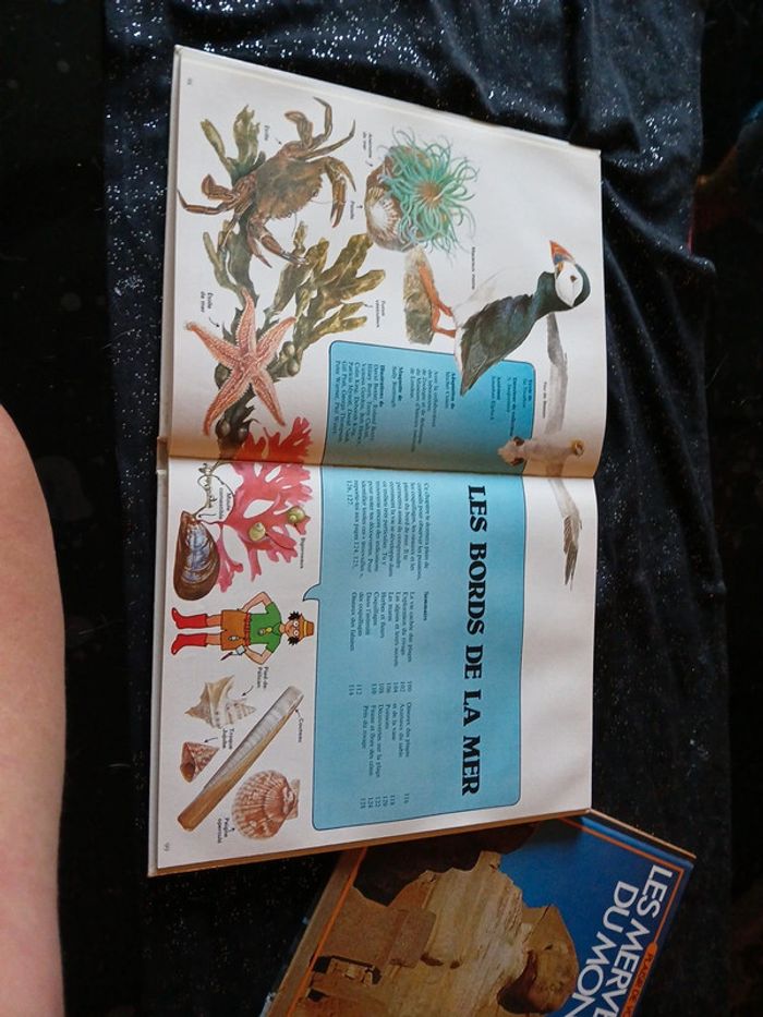 Livre enfants j'observe la nature - photo numéro 4