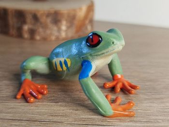 Figurine grenouille venimeuse Animal équatorial