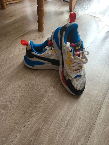 Basket X Ray lite