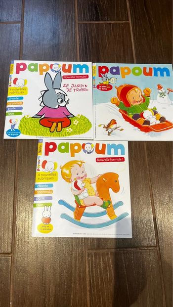 Lot magazines papoum